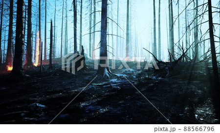 Rain forest fire disaster is burning caused by humans 88566796
