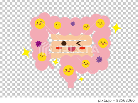 健康な大腸　キャラクター　線なし 88568360