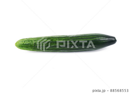 green whole cucumber isolated on a white background green whole cucumber isolated on a white background 88568553