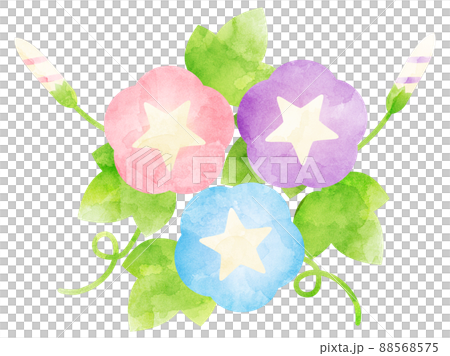 水彩風に加工した朝顔のイラスト 88568575