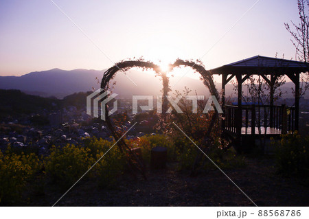 福島市 花見山 生け花の里 フォトスポットから見た景色 福島市 花見山 生け花の里 フォトスポットから見た景色 88568786
