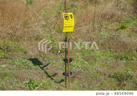 電撃柵の畑 畑の電撃柵 電撃柵の畑 畑の電撃柵 88569096