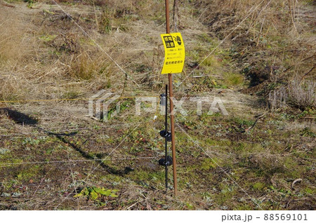 電撃柵の畑　畑の電撃柵 88569101