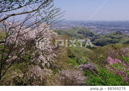 桜と木々の若葉が美しい、埼玉県深谷市と寄居町に座する鐘撞堂山からの4月の風景 88569276