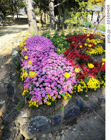 花壇 花壇 88569409