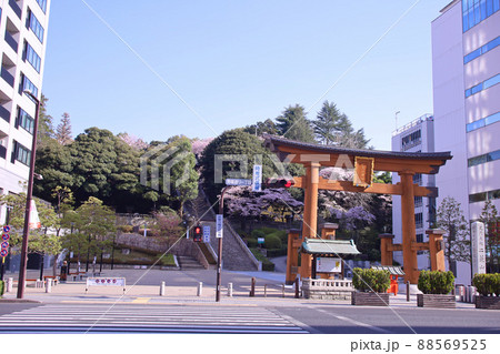 宇都宮市　宇都宮二荒山神社　大鳥居とバンバ市民広場 88569525