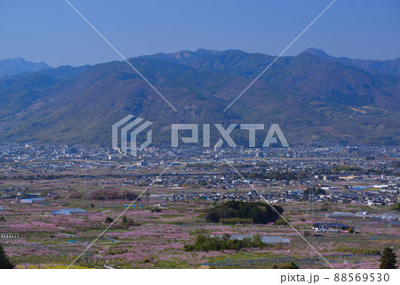 桃の花咲く頃の甲府盆地 桃の花咲く頃の甲府盆地 88569530