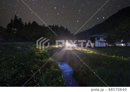 【夏イメージ】満天の星空とホタルの舞い 88570640