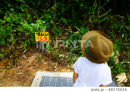 マムシの出る山と子供 88570838