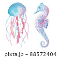 Sea animals set. Blue watercolor ocean fish and coral. Shell aquarium background. marine illustration, jellyfish, starfish. For Printing on postcards, packaging, fabric, design, textile. 88572404