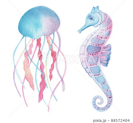 Sea animals set. Blue watercolor ocean fish and coral. Shell aquarium background. marine illustration, jellyfish, starfish. For Printing on postcards, packaging, fabric, design, textile. 88572404