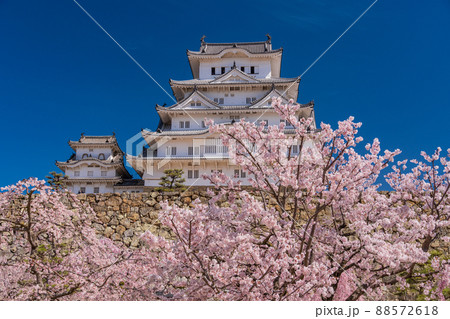 （兵庫県）世界遺産　姫路城　満開の桜 88572618