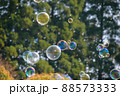 自然の中のシャボン玉 88573333