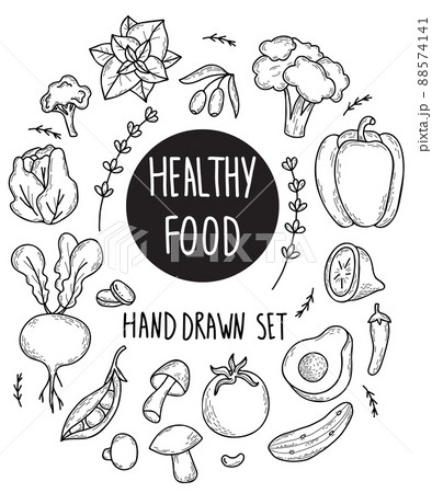 Set of vector vegetables and fruits, root vegetables, mushrooms, legumes and spicy plants, food in linear hand drawn doodle style. Isolated hand drawings for design and decoration on white background 88574141