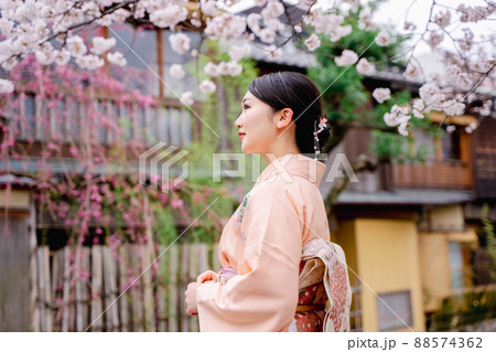 着物の女性と桜 京都 着物の女性と桜 京都 88574362