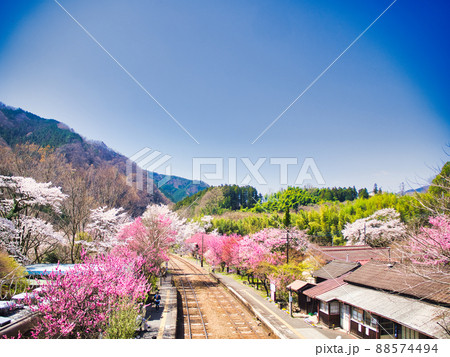 群馬県　わたらせ渓谷鉄道　神戸駅　桜と花桃 88574494