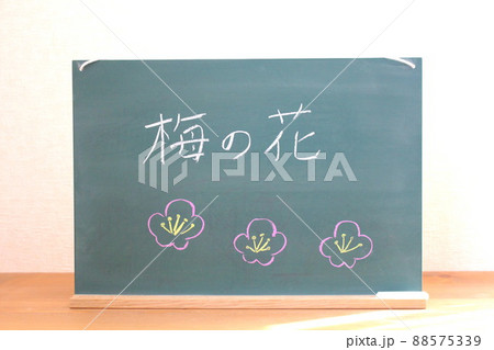 梅の花と書いてある黒板 88575339