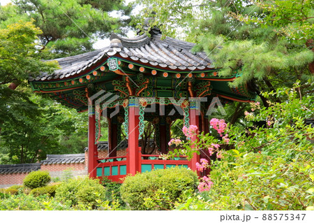 韓国庭園に咲くサルスベリ 韓国庭園に咲くサルスベリ 88575347