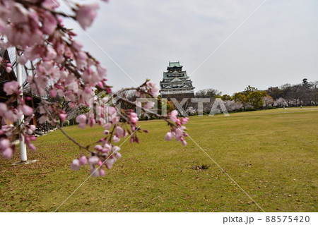 日本の大阪府 春の大阪城公園 満開の桜と立派な天守閣 日本の大阪府 春の大阪城公園 満開の桜と立派な天守閣 88575420