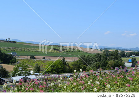 かんのファームからの眺め かんのファームからの眺め 88575529