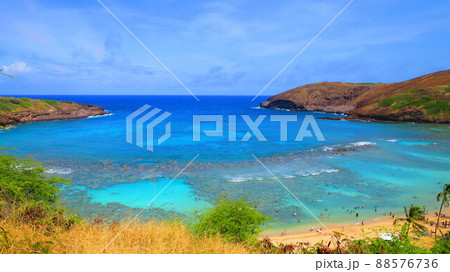 ハワイ・ホノルルの風景 ハワイ・ホノルルの風景 88576736