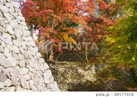 秋の高取城跡／紅葉（奈良県高市郡高取町） 88577028