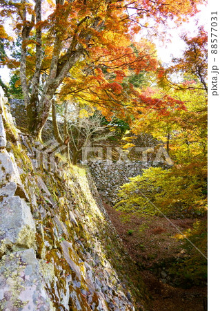 秋の高取城跡／紅葉（奈良県高市郡高取町） 88577031