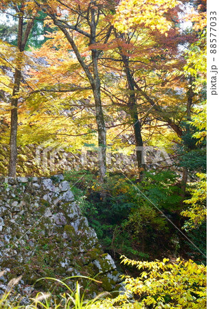 秋の高取城跡／紅葉（奈良県高市郡高取町） 88577033