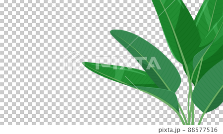 奧古斯塔插圖_背景材料_16：9 88577516