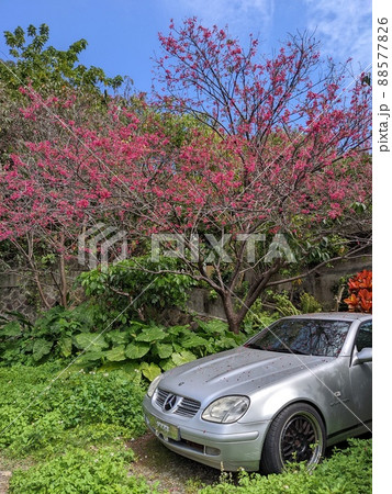自動車 車 飛車 88577826