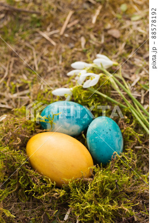Easter eggs in tones of the Ukrainian flag Easter eggs in tones of the Ukrainian flag 88578192