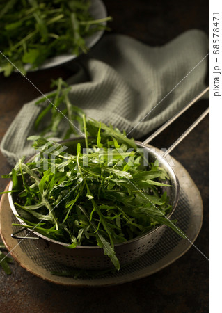 spring arugula salad greens spring arugula salad greens 88578471
