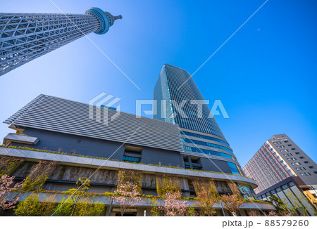 日本の東京都市景観 青空に映える東京スカイツリーなどを望む 88579260