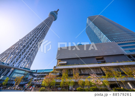 日本の東京都市景観 青空に映える東京スカイツリーなどを望む 88579261