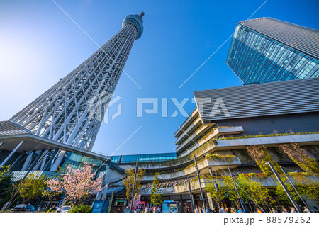 日本の東京都市景観 青空に映える東京スカイツリーなどを望む 88579262