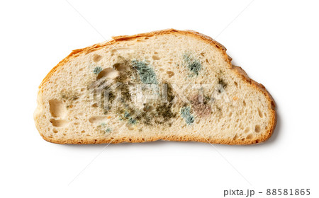 Slice of spoiled bread isolated on a white background. Slice of spoiled bread isolated on a white background. 88581865
