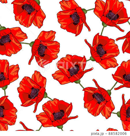 Seamless pattern with hand drawn wild red poppy flowers isolated on white background. 88582006