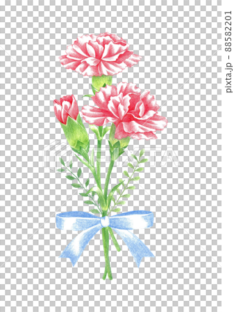 花 カーネーション 花束 88582201