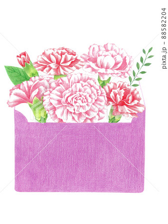 花 カーネーション 袋 88582204