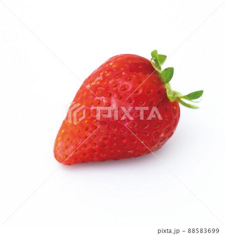 イチゴ イチゴ 88583699