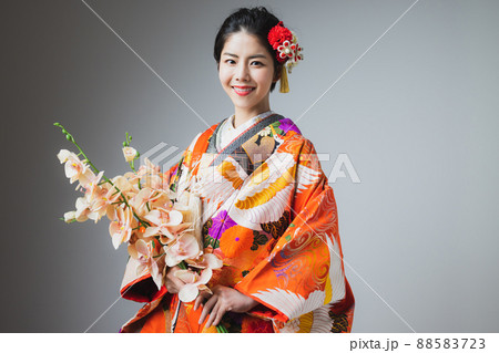 色打掛　胡蝶蘭 88583723