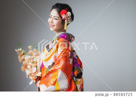 色打掛　胡蝶蘭 88583725