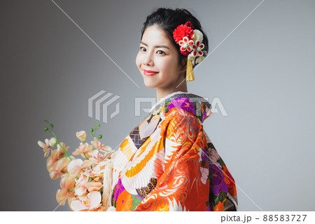 色打掛　胡蝶蘭 88583727