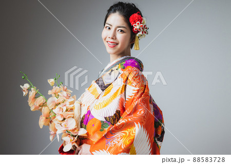 色打掛　胡蝶蘭 88583728