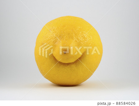 weird funny smiling lemon 88584026