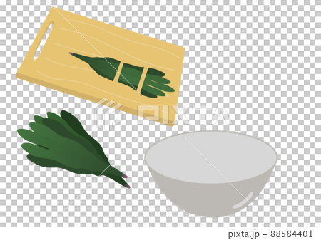 spinach spinach 88584401