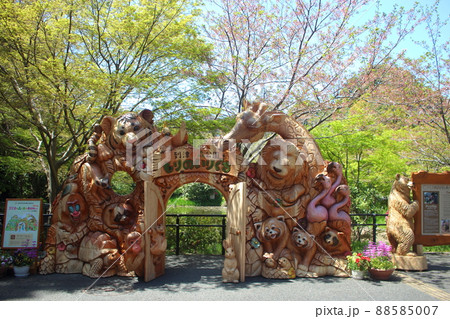 到津の森公園 88585007