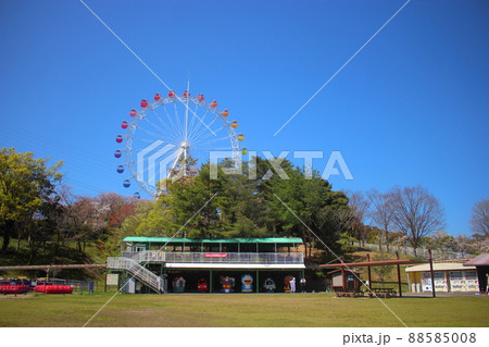 到津の森公園の観覧車 88585008