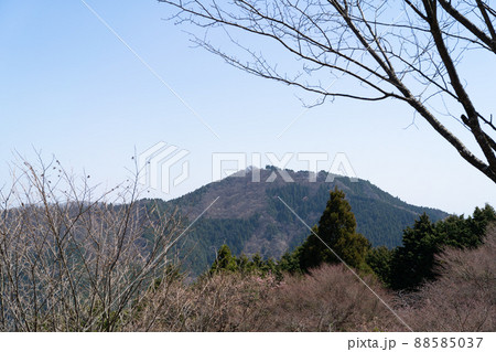 御岳平から見た御岳山（奥多摩） 88585037
