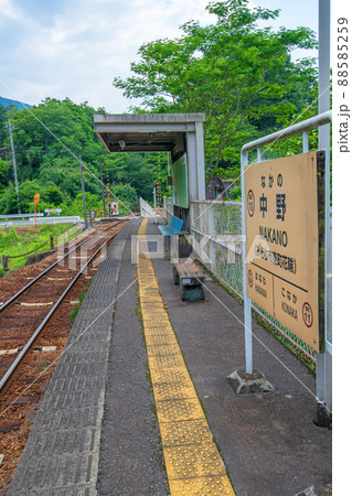 わたらせ渓谷鉄道　中野駅ホーム　初夏の風景　　　 88585259